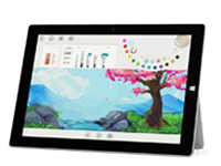 太湖Surface 无法开启、Windows 无法启动或电池无法充电