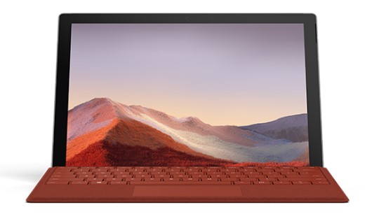 太湖清洁和维护 Surface